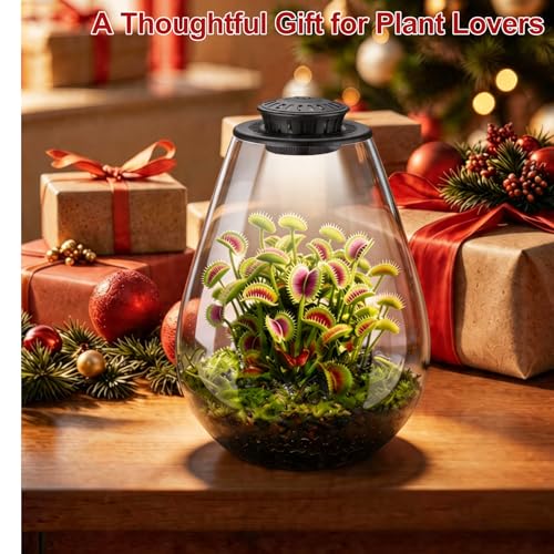 Glass Plant Terrarium with LED Grow Light, 7.8" Borosilicate Terrarium with Adjustable Ventilation & Timer, for Venus Fly Trap, Moss, Succulents, Mini Landscape, Desk Decor for Home Office