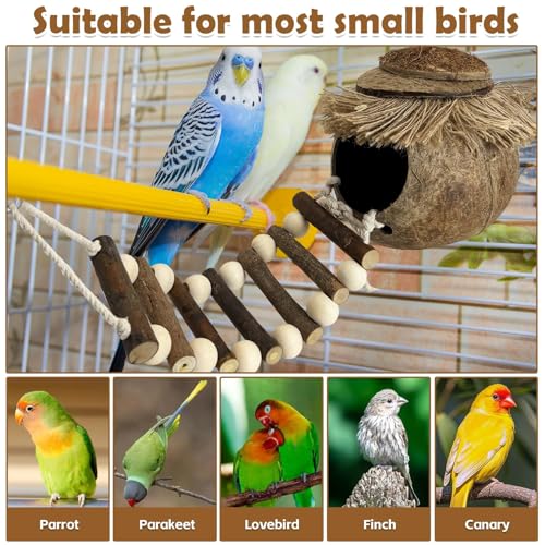 PINVNBY Hanging Coconut Bird Nest Hut with Ladder, Natural Coconut Hide Lovebird House Fruit Wood Bird Swing for Parakeet Cockatiel Budgie Conure Canary Finch Budgies