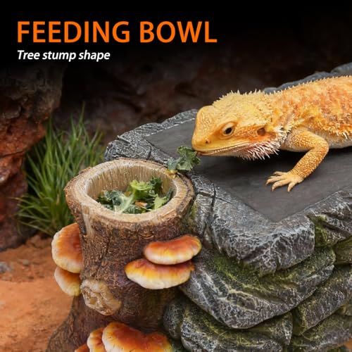 3 in 1 Bearded Dragon Basking Platform, Reptile Habitat Cave Hideout with Food Bowl, Aquarium & Terrarium Decor Accessories for Lizard Snake Gecko Turtle