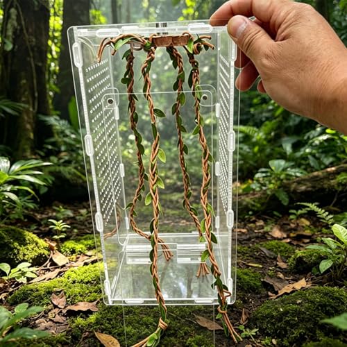 Jumping Spider Enclosure Accessories – Wood Cotton Rope 6x6x1cm 36cm Vine Set | Reptile Cage Climbing Toys for Habitat Enrichment | Natural Terrarium Decoration for Jumping Spiders Lizard