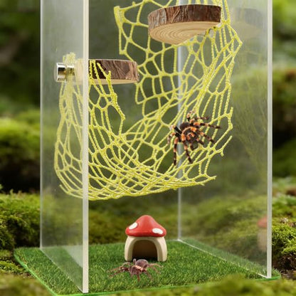 Jumping Spider Accessories Kit – 5 Pcs Set with Mushroom Platforms, and 1 Spider Webs for Climbing, Feeding, and Decorating