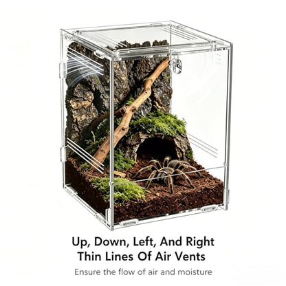 Clear Acrylic Reptile Terrarium with Mesh Top for Lighting, Waterproof and Ventilated Enclosure for Small Insect,Jumping Spider, Tarantula, Easy Access Feeding