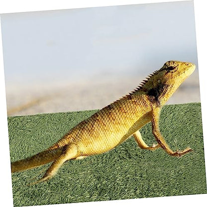 Home Terrarium Liner Reptile Pet Carpet Fake Moss for Lizard Tanks and Tortoise Habitats Moisture Retaining Reusable Mat for Amphibians and Reptiles