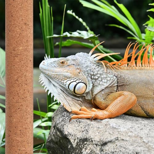 VOSAREA Reptile Wood Branch for Climbing and Basking, Natural Cork Wood Material, Sturdy and Fun Habitat Decoration for Reptiles and Lizards in Homes and Training Areas
