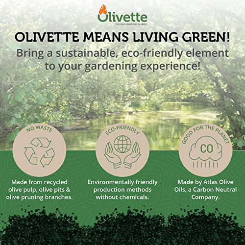 OLIVETTE Organic Biochar Activated Charcoal for Plants, 1 Bag | USDA Horticultural Charcoal, Moisture Control For Terrariums & Potted Plants, Biochar Soil Additive For Gardening - size: 1 Bag