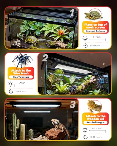 UVB Light for Reptile 8W, T5 UVB Reptile Light Fixture HO Combo Kit with Test Sensor Cards, 12" High Output Reptiles Light Bar UVA UVB Desert Lamp for Turtle Lizard Bearded Dragon Tank - color: Black