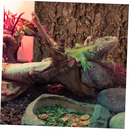TOYANDONA 2pcs Cork Bark for Reptiles Tree Bark Hideout for Aquariums and Terrariums Climbing Surface for Bearded Dragons and Lizards Flexible Configuration for Any Fish Tank