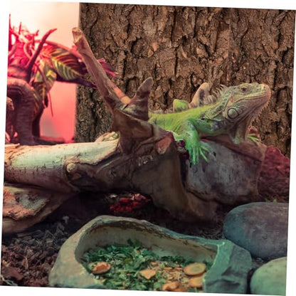 TOYANDONA 2pcs Cork Bark for Reptiles Tree Bark Hideout for Aquariums and Terrariums Climbing Surface for Bearded Dragons and Lizards Flexible Configuration for Any Fish Tank