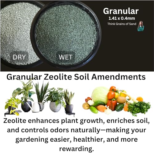 Zeolite Granular 12 lbs, Clinoptilolite 1.4-4 mm, Soil Amendment for Plants, Succulents and Bonsai, Improves Drainage and Odor Control, Aquarium Filter Media - style: Granular - 12 lbs