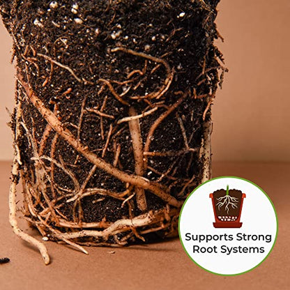 Perfect Plants Organic Snake Plant Soil in 8qt. Bag | Coco Coir Based Potting Mix Snake Plant Varieties - size: 8qt.