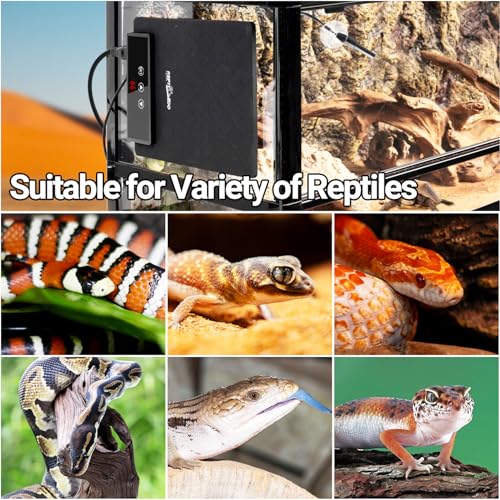 REPTI ZOO Reptile Heat Pad 6"x 8", 11W Reptile Heat mat with Adjustable Thermostat for Turtles, Hermit Crabs, Bearded Dragons, Leopard Geckos, Snakes, Lizards - size: 6"x 8"
