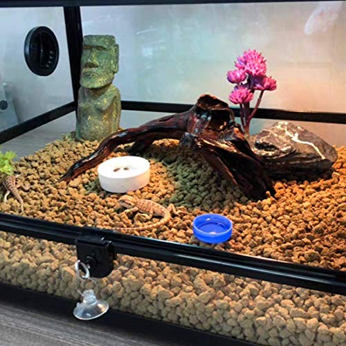 Reptile Plants Artificial Terrarium Plants Reptile Plastic Plants for Reptile Habitats with Base -Purple… - color: Purple