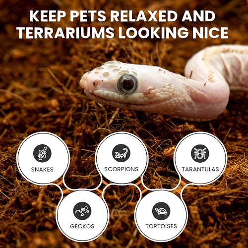 ReptiEarth Reptile Bedding, Fluffy Coconut Fiber Substrate 12 Quart Organic Coco Ready to Use for Bioactive Snake Terrarium, Lizard Tanks with Plants, for Frog, Tarantula or Hermit Crab Habitat - size: 12 Quart