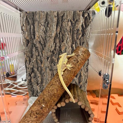 4PCS Reptile Tank Background,11.81 x 11.81 Inch Terrarium Cork Bark Background Bearded Dragon Tank Backdrop Natural Reptile Cork Bark Mat for Lizard Gecko Chameleon Tortoise Snake Spider Frog - size: 【11.81 x 11.81 In】
