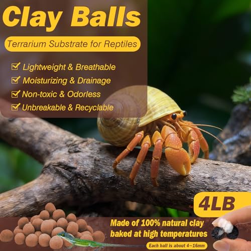 ZeeDix 4 LBS Reptile Substrate Leca Balls - 100% Organic Expanded Clay Pebbles, Ideal Bioactive Terrarium Clay Balls Substrate for Reptile Terrarium Tank, Bearded Dragon, Tortoise, Gecko, Snake & Frog - color: 4LBS