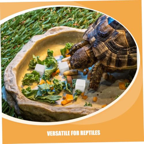Happyyami 30pcs Natural Mineral Calcium Blocks for Turtles Tortoises Lizards Frogs Chameleons Enhances Water Stability Supports Growth and Versatile Reptile Amphibian Care