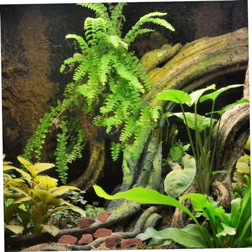 BESPORTBLE 1bag Natural Reptile Tank Decor Cypress Mulch Bark Chips Liner for Rainforest Habitat