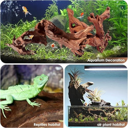 Jorewood Natural Small Aquarium Driftwood for Fish Tanks & Reptile Terrariums – Safe Fish Tank Decorations, Unique Twisted Branches 10-Piece 2-4 Inch Low Tannin, Easy to Sink - size: Mopani Driftwood 2-4" (Pack of 10)