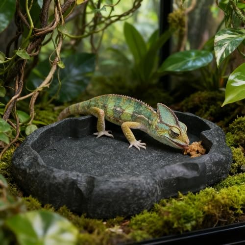 Resin Rock Reptile Food and Water Bowl, Terrarium Dish for Bearded Dragon, Leopard Gecko, Lizard, Tortoise Feeder Accessories - color: Dark green M