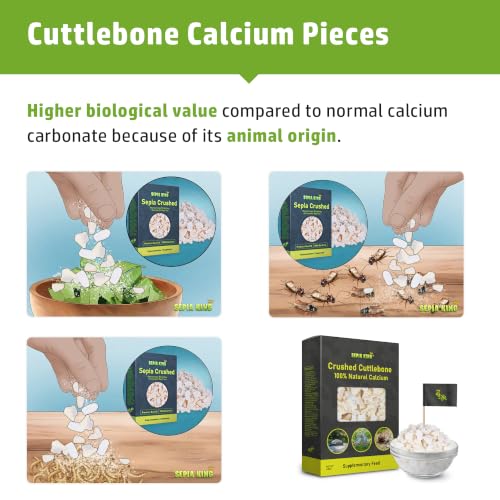Sepia King - Crushed - 100% Natural Calcium Supplement - Premium Cuttlebone Perfect for Birds, Tortoises, Snails, Reptiles - 3.5 oz