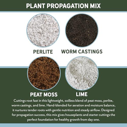 Planting Mix for Plant Propagation (4 Quarts), Hand Blended Soilless Mix for Propagating Plants, House Plants, and More - size: 4 Quarts