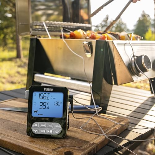 Taylor TruTemp Dual Probe Wired Programmable Meat & Food Thermometer, Digital, Monitor Two Dishes, Baking, Grilling, Roasting, User-Friendly, Backlit, Gray - color: gray
