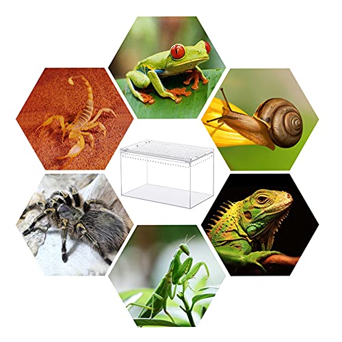 NANEEZOO Magnetic Acrylic Enclosure 10x6x6 Inch Tall Long Case Reptile Habitat Terrarium cage for Terrestrial Arboreal Tarantula Scorpion Sling Isopods Lizards Invertebrates Insect Mantis