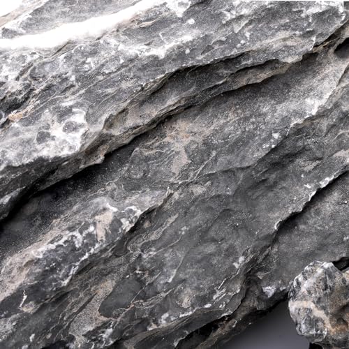 Eorbow 12lb Seiryu Stone, Aquarium Rocks for Terrariums, Paludarium, Vivariums, Reptile, Amphibian Enclosures, Fish Tank Decor for Aquarium Landscaping Models