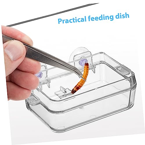 BESPORTBLE 2pcs Reptile Feeder Cup Water Dish Escape Feeding Bowl for Lizard Bearded Dragon Gecko Small Food-Grade Material Strong Suction Cup for Secure Placement