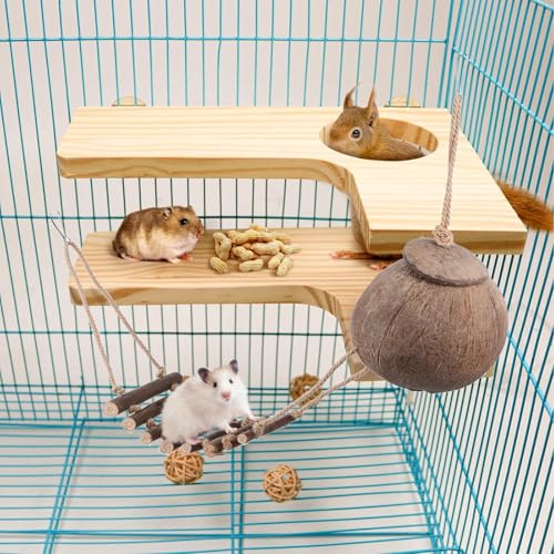 Homoyoyo Crested Gecko Coconut Hide with Ladder, Natural Reptile Hideout and Lizard Shelter Hanging Reptile Hideout Coconut Shell Hut for Lizard Tank Accessories, Terrarium Cave for Leopard Gecko