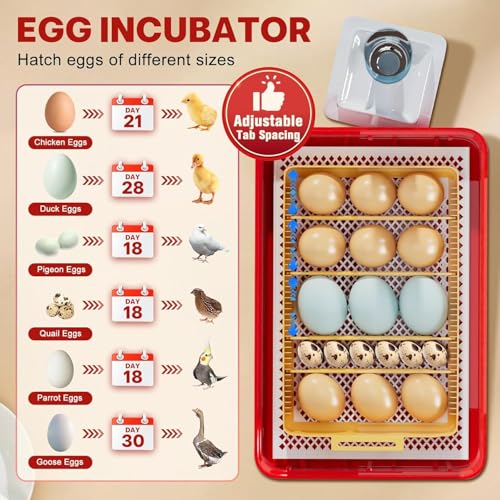 Incubators for Hatching Eggs 15-35 Eggs Incubator with Automatic Egg Turning and ℉Temperature Display LED Candler Poultry Incubator for Hatching Chicken Duck and Quail Incubator
