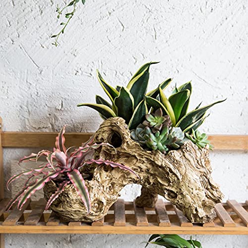 OMA Natural Driftwood Teak Wood Branch for Terrariums, Air Plants, Succulents, Reptile Decor - Branch Only