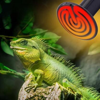 Aiicioo 150W Black Ceramic Heat Emitter 2Pack No Light Heat Bulb for Reptile Emitting Heat Lamp Bulb for Bearded Dragon Lizard Tortoise Turtle Snake Brooder Coop