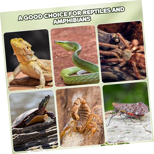 Yardwe 14Pcs Natural Cork Bark Reptile Hideout and Climbing Platform Multi-Functional Habitat Decor for Bearded Dragon Gecko Snake Terrarium Accessories