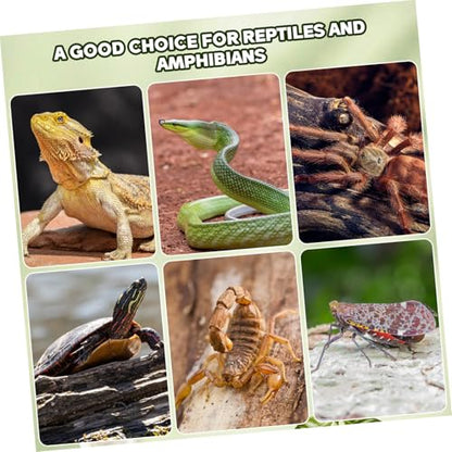 Yardwe 14Pcs Natural Cork Bark Reptile Hideout and Climbing Platform Multi-Functional Habitat Decor for Bearded Dragon Gecko Snake Terrarium Accessories