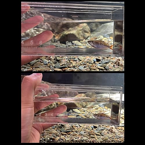 Viewing Box Acrylic Safe Outdoor Indoor Fishing Photo Tank