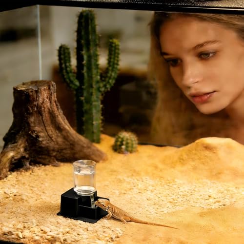 Automatic Reptile Feeder - Reptile Automatic Dish, Crab Water Dispenser | ABS, Bearded Dragon Water Bowl Food Container for Lizard Chameleon Snake Frog Hermit Crab Amphibian Habitat - color: Black