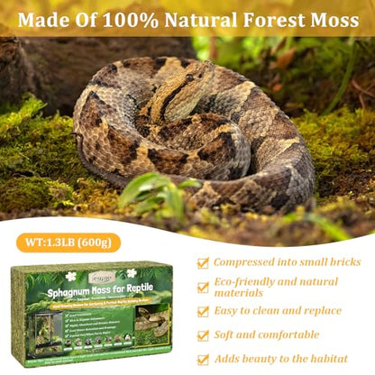 Legigo 1.3LB Sphagnum Moss for Reptile- 24 QT Natural Reptile Moss Terrarium Moss Substrate, Snake Tank Moss Peat Moss Reptile Bedding for Snake, Gecko, Ball Python, Frog and Orchids Plants - size: 1.3LB