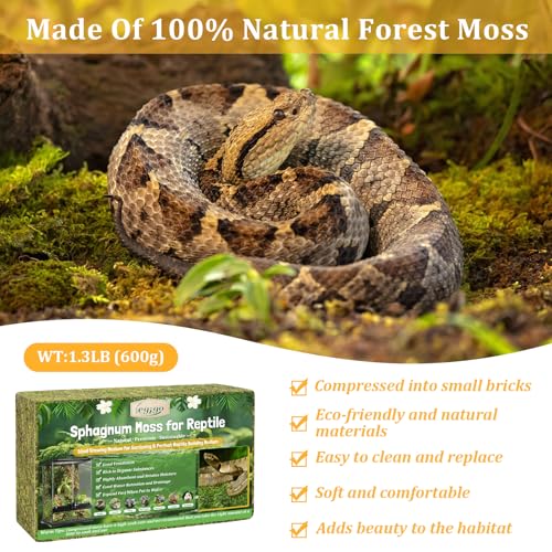 Legigo 1.3LB Sphagnum Moss for Reptile- 24 QT Natural Reptile Moss Terrarium Moss Substrate, Snake Tank Moss Peat Moss Reptile Bedding for Snake, Gecko, Ball Python, Frog and Orchids Plants - size: 1.3LB