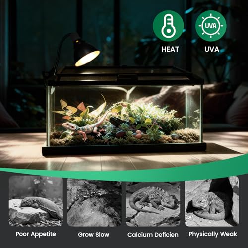 Reptile Heat Lamp Bulbs 75W (2-Pack) – Efficient Heating & Simulated Sunlight Basking Light for Amphibians, Bearded Dragon, Lizard, Turtle, Chicken – E26 Base - color: White, size: 75W