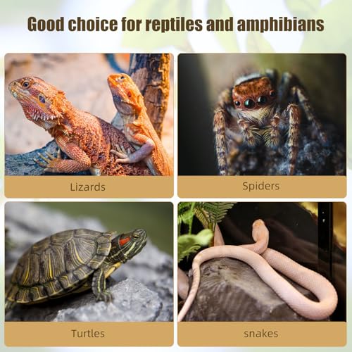 NUOBESTY 10pcs Cork Bark for Reptiles Natural Tree Bark Decor Lizard Climbing Platform Turtle Basking Terrarium Decorations