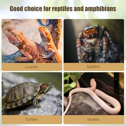 NUOBESTY 10pcs Cork Bark for Reptiles Natural Tree Bark Decor Lizard Climbing Platform Turtle Basking Terrarium Decorations