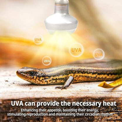 Dual Reptile Light Fixture Kit with 100W UVA Basking Bulb & 100W Infrared Heat Lamp,2-in-1 Deep Dome Day & Night Heating Combo for Bearded Dragon Turtle Snake Terrarium with Independent Switches