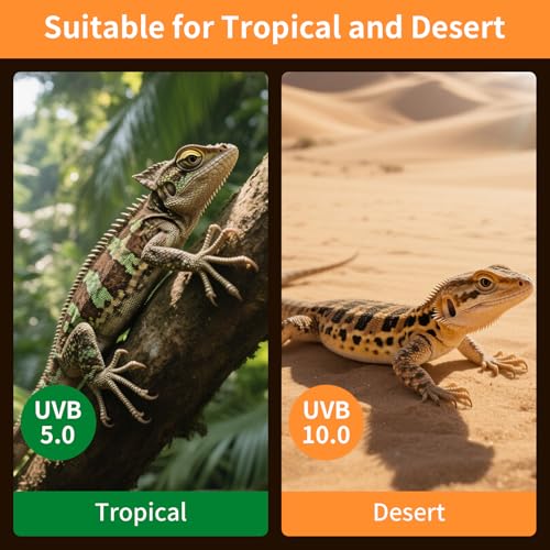 UVA UVB Reptile Light 23W 10.0,Desert Terrarium Compact Fluorescent Lamp,UVB Reptile Light Bulb for Bearded Dragon, Lizard,Spider, Snake, Gecko - size: 10.0-23