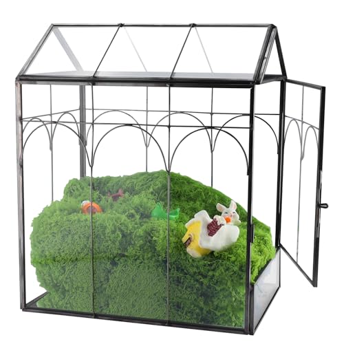 HighFree Geometric Plant Terrarium with Lid, House Succulent Terrarium Kit for Succulents Cacti Snail, Home Tabletop Miniature Terrarium (Black with Side Door) - color: Black With Side Door