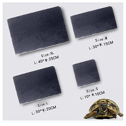 OMEM Turtle Reptile Rock Food Plate Grinding the Nail (L) - size: L