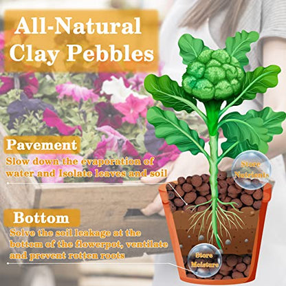 Legigo 10 LB Organic Leca Clay Pebbles & 2 QT Horticultural Charcoal, Natural Soil Amendment for Drainage, Aeration, and Healthy Indoor Plants, Orchids, Hydroponics & Terrariums