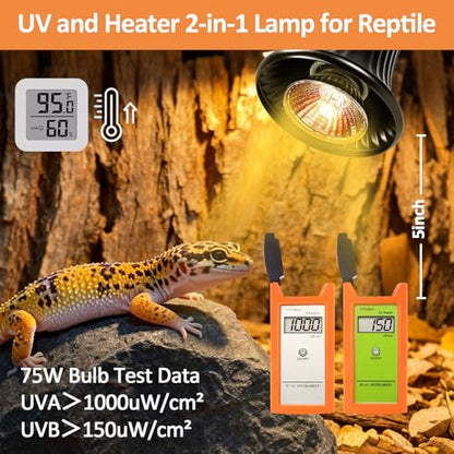 Reptile Heat Lamp, Heating Lamp for Reptiles with UVA UVB,2H,4H,8H,10H Cycle Timing&Stepless Dimming Adjustment Basking Light for Turtle, Bearded Dragon, Lizard and More, 2 Bulbs 50W+75W