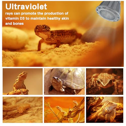 GARTO UVB Light for Reptiles, for E26, E27 Reptile Heat Lamp, Full Spectrum LED Light,UVA Daylight Basking Light for Dragon, 2urtle, Lizard, Gecko, Lizard (UVB-10.0)
