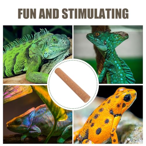 Natural Wood Platform for Turtle Tank and Small Animal Climbing Stand with Sturdy Material and Exercise Aid, Decorative Reptile Climbing Branch for Homes and Pet Shops